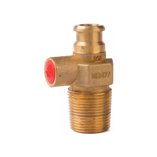 Barbecue Using Pressure Relief Brass LPG Valve